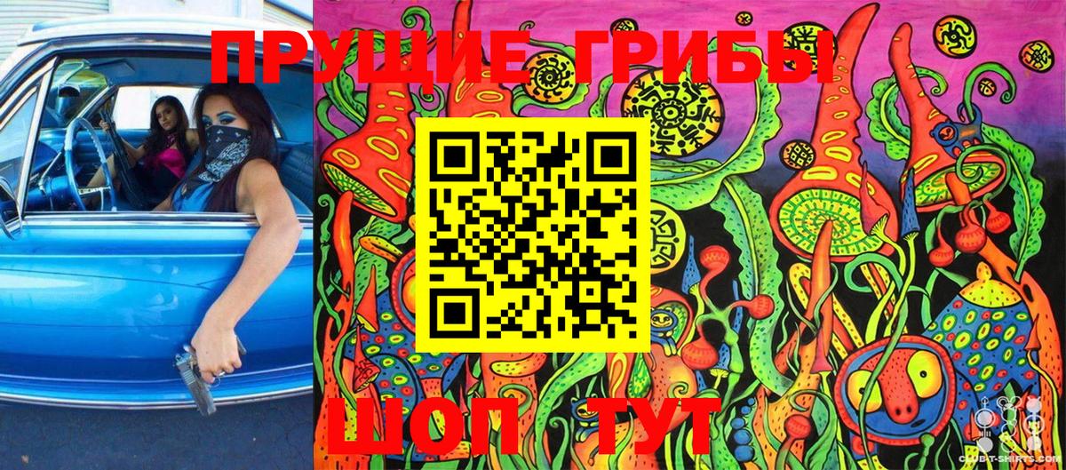 Галлюциногенные грибы MAGIC MUSHROOMS  Вход с VPN  Ессентуки 